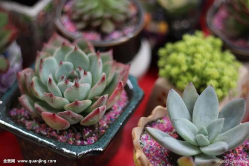 ȫIPOʶӽʷλ гǹĭ