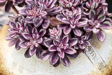 ƶ|ɽ׵طƶǨƶ˿ȫȶƶ